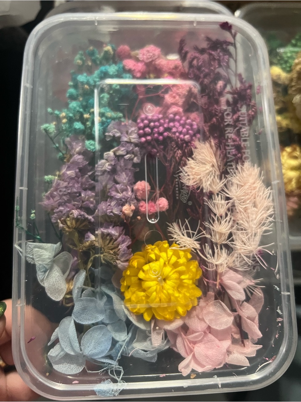 Preserved Dried Flowers & Botanicals for Resin Crafts – Mixed Colors